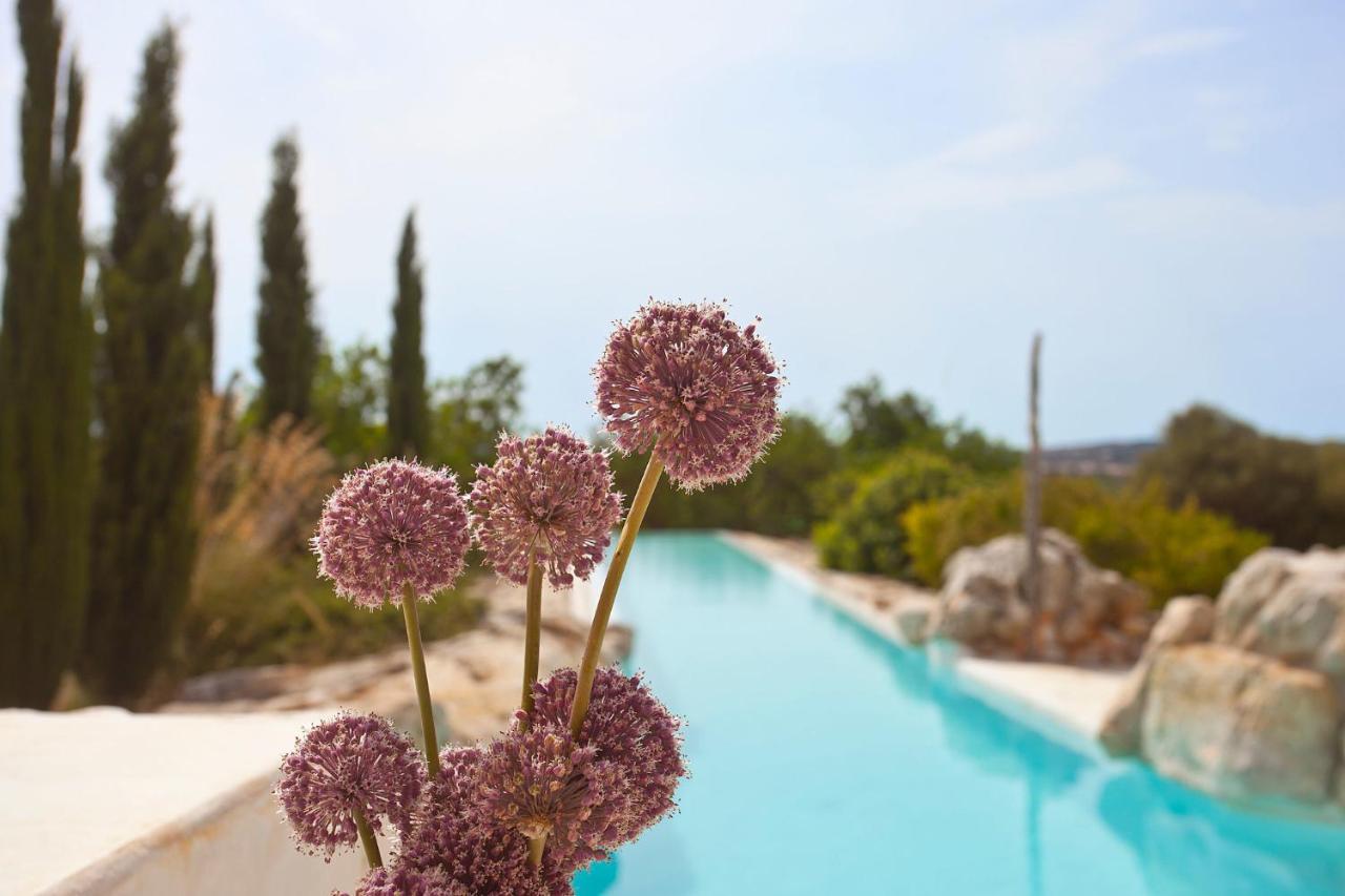 Finca Calicant